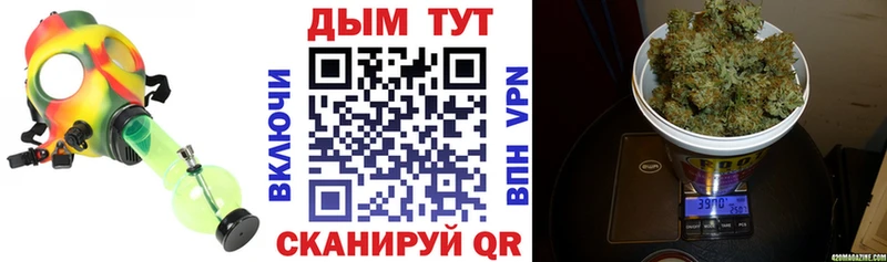 Каннабис ГИДРОПОН  купить наркотики цена  Верхняя Пышма 